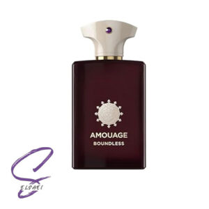 عطر ادکلن آمواج باندلس مردانه | Amouage Boundless For Men