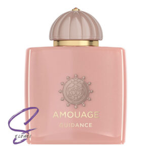 عطر ادکلن آمواج گایدنس | Amouage Guidance
