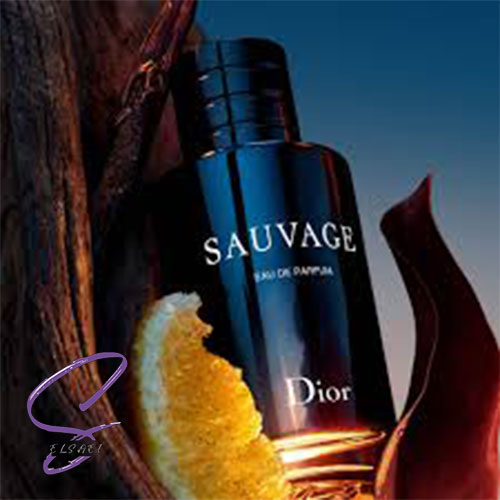 عطر ادکلن دیور ساواج-ساوج-ساواژ | Dior Sauvage 100ml - تصویر 2