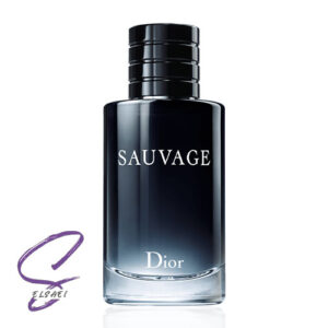 عطر ادکلن دیور ساواج-ساوج-ساواژ | Dior Sauvage 100ml