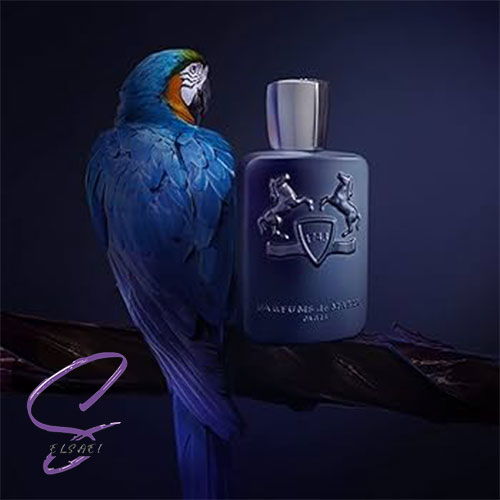 عطر ادکلن مارلی لیتون | Parfums de Marly Layton - تصویر 2